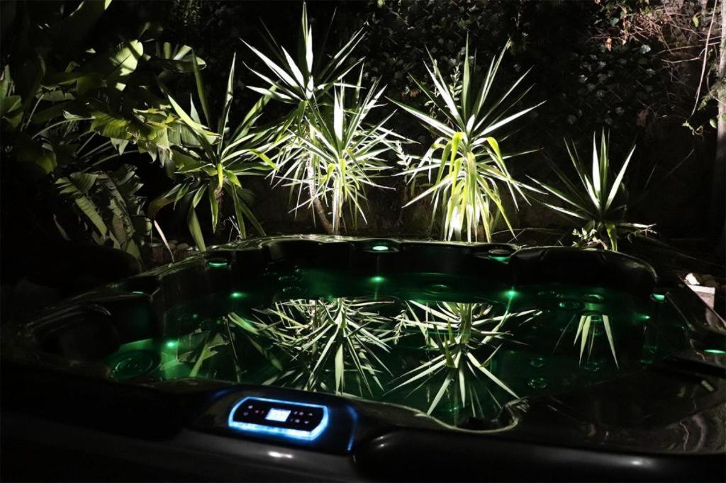 Luxury Jacuzzi Home & Terraces Málaga Kültér fotó